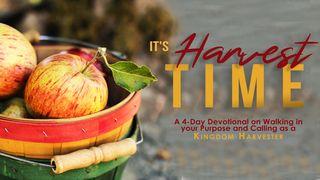 It's Harvest Time Ma-thi-ơ 9:37-38 Cằm Po̱ Fạ