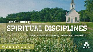 Life Changing Spiritual Disciplines Psalms 119:97-105 Amplified Bible