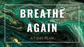 Breathe Again: A 7-Day Plan Genesis 11:27-32 New Living Translation