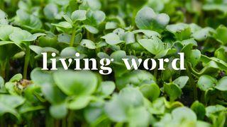 Living Word Jesaja 50:10 Svenska Folkbibeln 2015