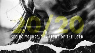 20/20: Seeing Yourself in Light of the Lord Romanos 7:14-17 O Livro