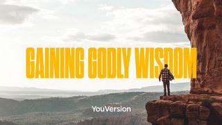 Gaining Godly Wisdom Proverbs 4:6-7 New International Version