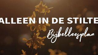 Alleen in de stilte Psalmen 62:1 Het Boek