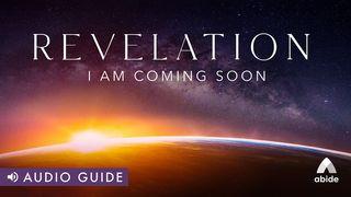 Revelation: I Am Coming Soon Openbaring 18:2 Het Boek