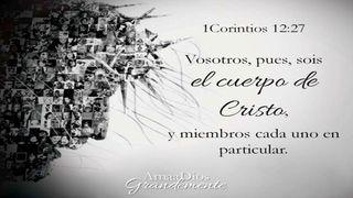 Principios para cultivar actitudes en pro de la unidad del cuerpo de Cristo 1 Corintios 8:9 La Biblia de las Américas