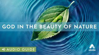 God In The Beauty Of Nature Proverbs 30:24-28 New American Standard Bible - NASB 1995