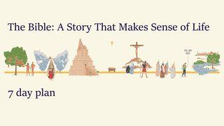 The Bible: A Story That Makes Sense of Life  Retaꞌ Ahun-hunut 9:3 Uisneno In Kabin ma Prenat: Rais Manba'an Fe'u nok Reta' Ahun-hunut