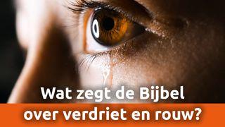 Wat zegt de Bijbel over verdriet en rouw? Genesis 3:16 Herziene Statenvertaling