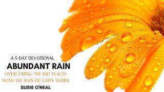 Abundant Rain 2 Kings 4:1-17 New International Version