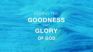Seeing the Goodness and Glory of God John 16:33 New International Version