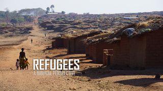 Refugees 1 சாமுயேல் 23:14 இந்திய சமகால தமிழ் மொழிப்பெயர்ப்பு 2022