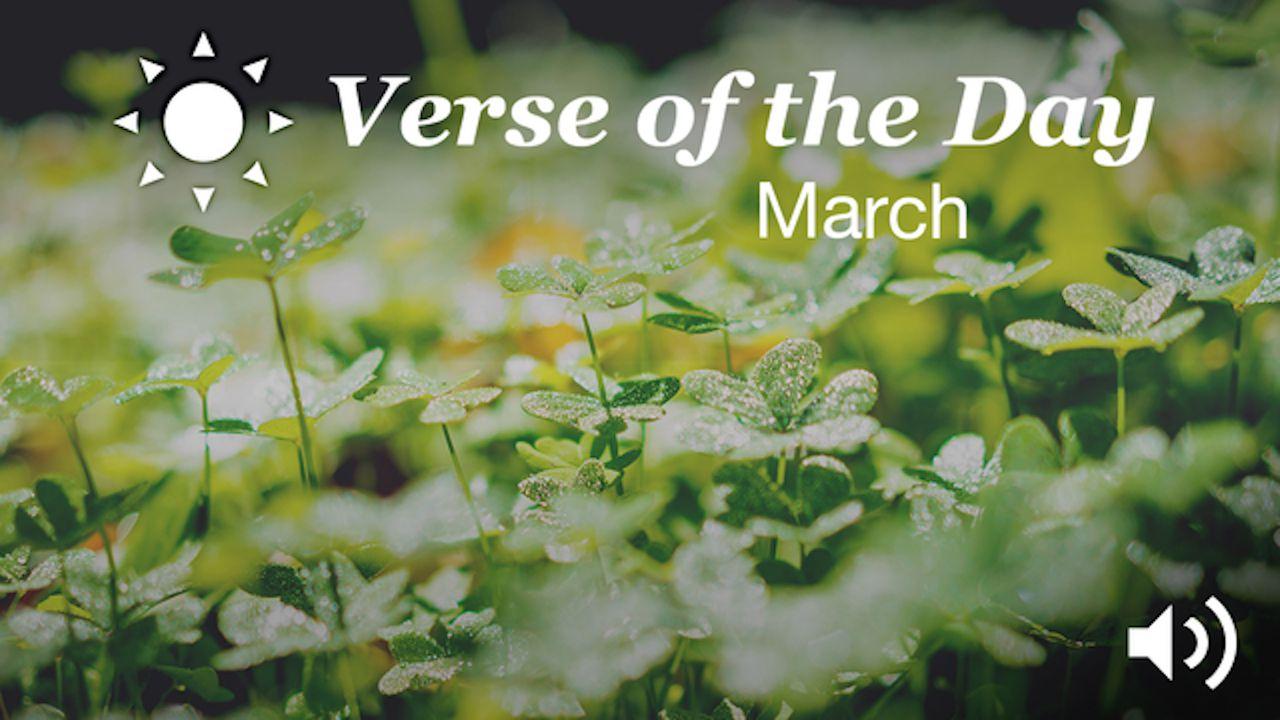 YouVersion Verse Of The Day: March