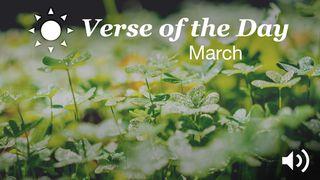 YouVersion Verse Of The Day: March ゼカリヤ書 14:9 リビングバイブル