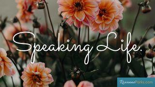 Speaking Life Spreuken 16:28 Het Boek