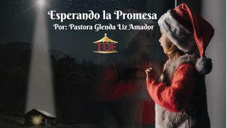 Esperando La Promesa Lucas 2:22-27 Nueva Traducción Viviente