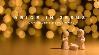 Abide in Jesus - 4-Day Advent Devotional Mark 13:35-37 Ooratha Caaquwaa