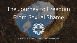 The Journey to Freedom from Sexual Shame Deuteronomium 4:29 Herziene Statenvertaling