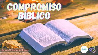 Compromiso Bíblico LUCAS 8:14 La Palabra (versión española)