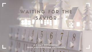 Waiting for the Savior Psalmen 80:3 Het Boek