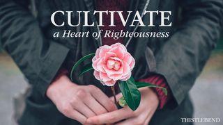 Cultivate a Heart of Righteousness! Yakobus 1:27 Alkitab Versi Borneo
