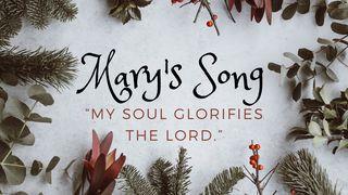 Mary's Song: My Soul Glorifies the Lord 路加福音 11:28 新译本