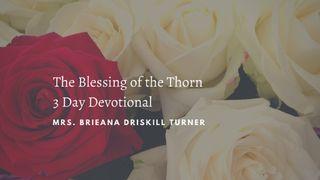 3 Lessons of the Blessing of the Thorn Titus 2:11-14 New Century Version