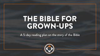 The Bible for Grown-Ups 罗马书 2:1-11 新标点和合本, 神版