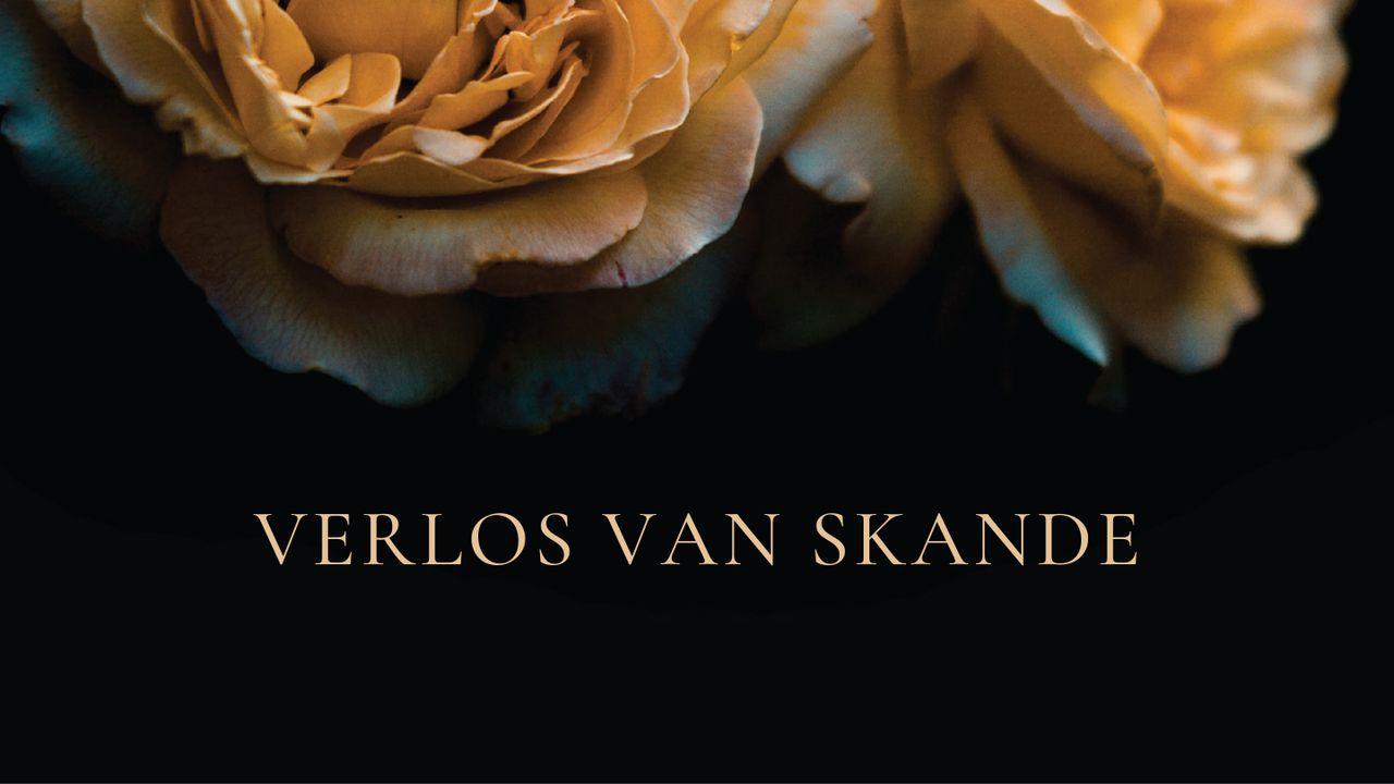 Verlos Van Skande