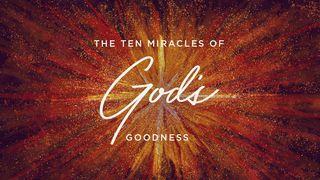 The Ten Miracles of God's Goodness Лукастар 12:28 Біблія про закарпатцько романо чіб