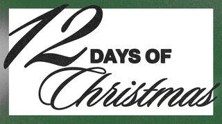 12 Days of Christmas Devotional: Discovering the Real Jesus Romans 11:25-29 The Message