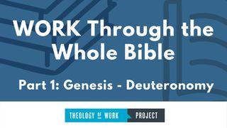 Work Through the Whole Bible, Part 1 Numeri 12:3 Het Boek