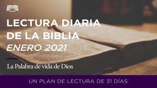 Lectura Diaria De La Biblia De Enero 2021 - La Palabra De Vida De Dios Romanos 3:20 Biblia Reina Valera 1960