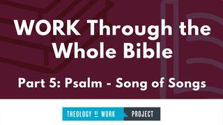 Work Through the Whole Bible, Part 5 Ecclesiastes 2:23 English Standard Version Revision 2016