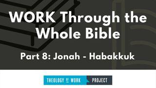 Work Through the Whole Bible, Part 8 Jona 4:2 Het Boek