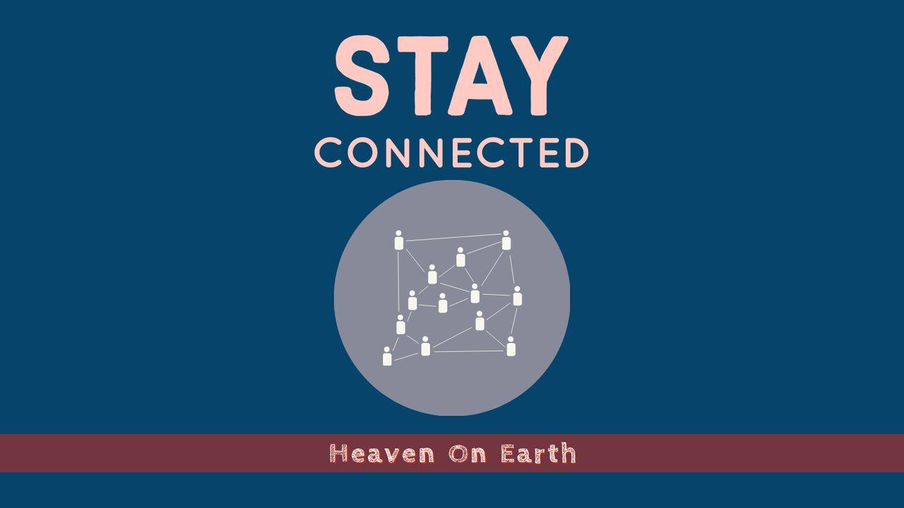 Stay Connected