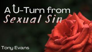 A U-Turn From Sexual Sin Genesis 2:25 American Standard Version
