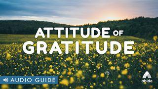 Attitude of Gratitude Psalms 7:17 New International Version