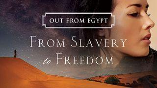 Out From Egypt: From Slavery to Freedom Exodus 7:1 Contemporary English Version (Anglicised) 2012