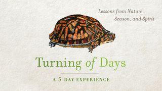 Turning of Days: Lessons From Nature, Season, and Spirit Mo꞉mo꞉do꞉ 8:21-22 Godeya: To Nafayo: We