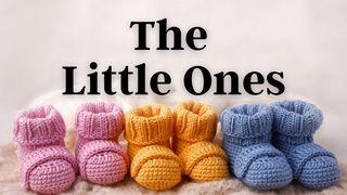 The Little Ones MATEO 18:5 Nuevo Testamento Tzeltal de Amatenango