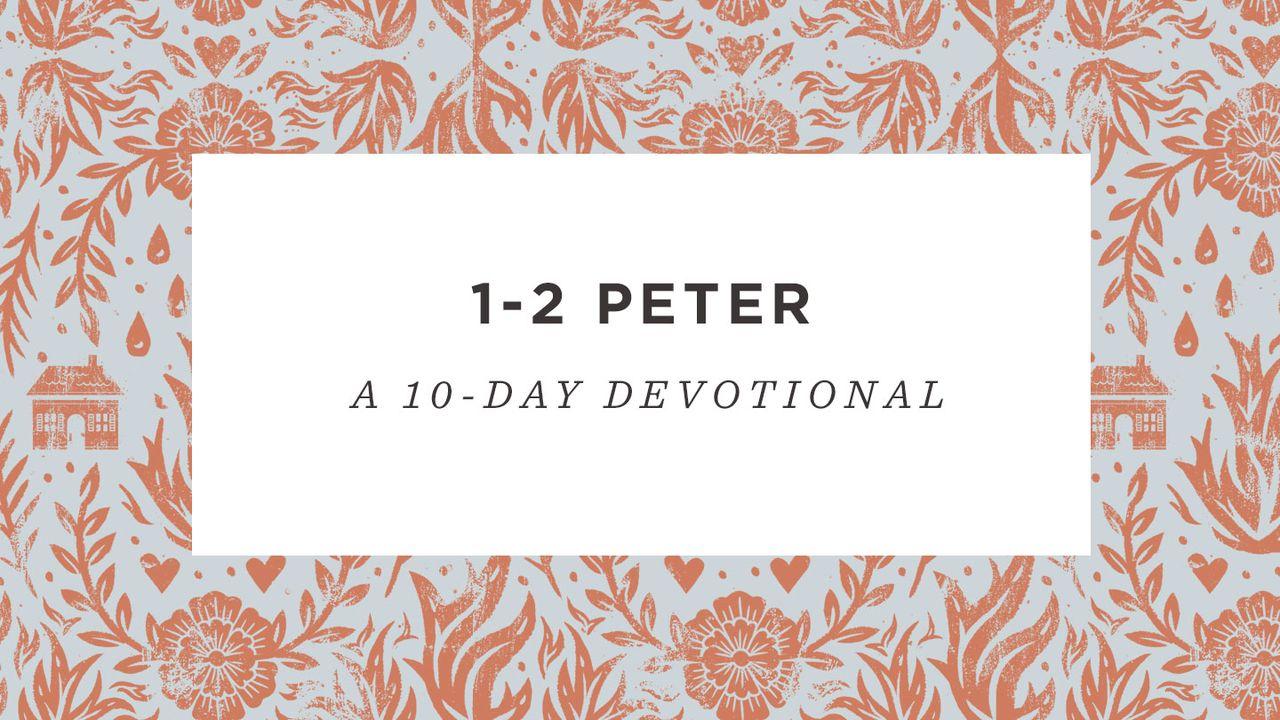 1–2 Peter: A 10-Day Devotional Reading Plan