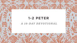 1–2 Peter: A 10-Day Devotional Reading Plan 2 ПЯТРА 2:21-22 Біблія (пераклад А.Бокуна)