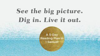 See the Big Picture. Dig In. Live It Out: A 5-Day Reading Plan in 1 Samuel 1 Samuel 3:1-12 New International Version