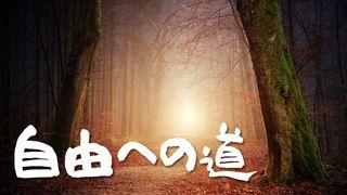 自由への道 - 神様の真理を受け取る１６日間 創世記 1:26-27 Seisho Shinkyoudoyaku 聖書 新共同訳