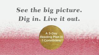 See the Big Picture. Dig In. Live It Out: A 5-Day Reading Plan in 1 Corinthians 1 Corinthians 1:2 English Standard Version Revision 2016