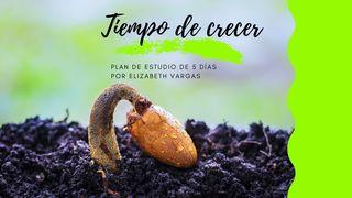 Tiempo De Crecer San Mateo 13:21 Biblia Dios Habla Hoy