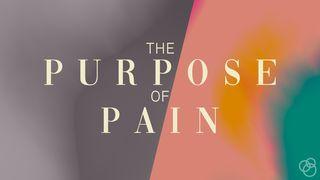 The Purpose of Pain 1 Johannes 1:10 Het Boek