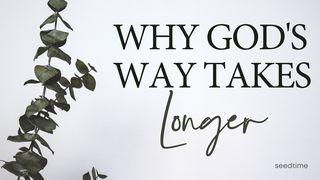 Why God's Way Takes Longer Psalmen 92:14-15 Het Boek