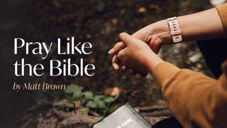 Pray Like the Bible Luk 5:16 Nkome LP NT Portions