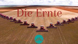 Die Ernte Galater 6:7 Hoffnung für alle